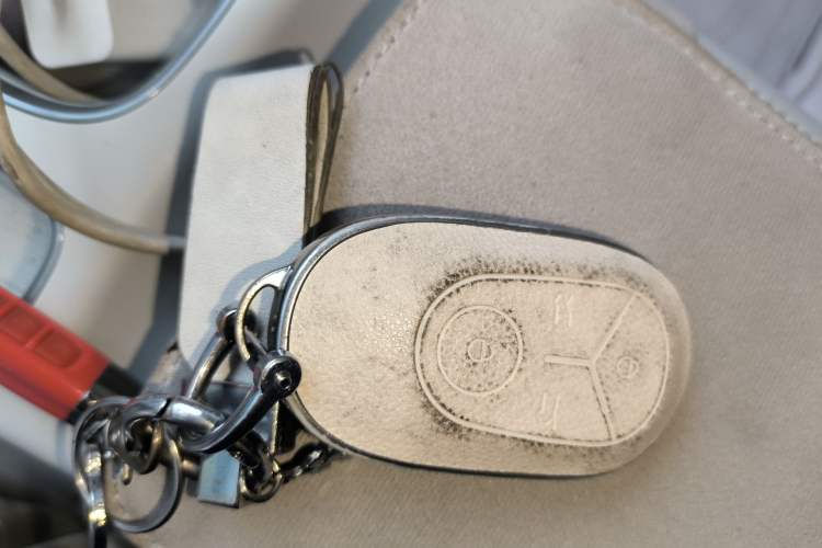 Used Geely Galaxy Geome 2025 310km Dream Edition Vehicle Key