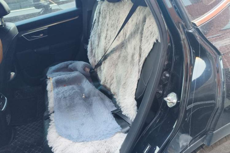 Used Honda Breeze 2020 240TURBO CVT 2WD Elite Edition
