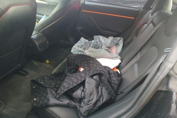 Used Tesla Model 3 2022 Rear-Wheel-Drive Version