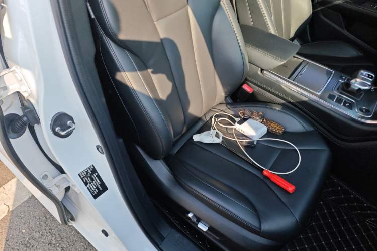 Used Hongqi H5 2020 1.8T Automatic Smart Connect Flagship Edition Right Front Seat