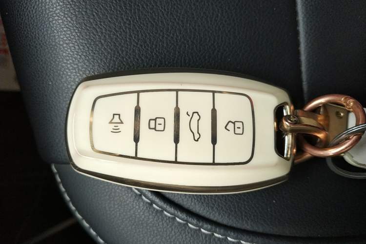 Used ORA White Cat 2022 Xiaoyue Mao Edition 401 km Flagship Model Lithium Ternary