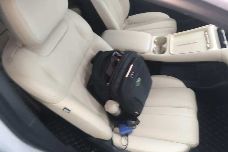 Used Wuling Xingguang S 2024 130 km Flagship Version Right Front Seat