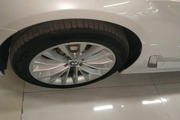 Used BMW 5 Series 2019 530Li xDrive Luxury Package
