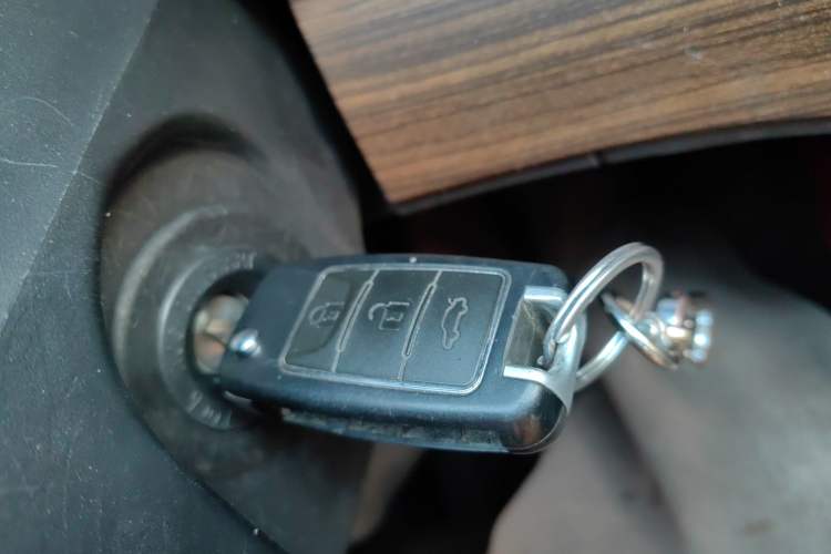 Used FORTHING Lingzhi PLUS 2022 Travel Edition 2.0L Manual Luxury Version 7 Seats
