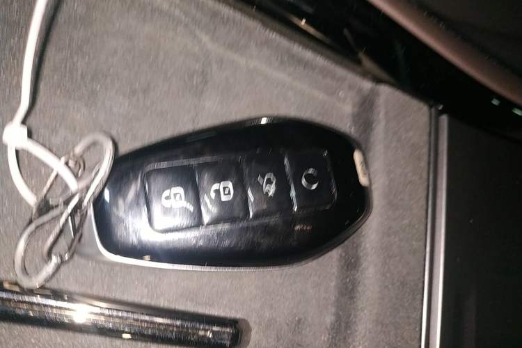 Used Denza Z9 2024 1100 km Four-Wheel Drive Max Version
