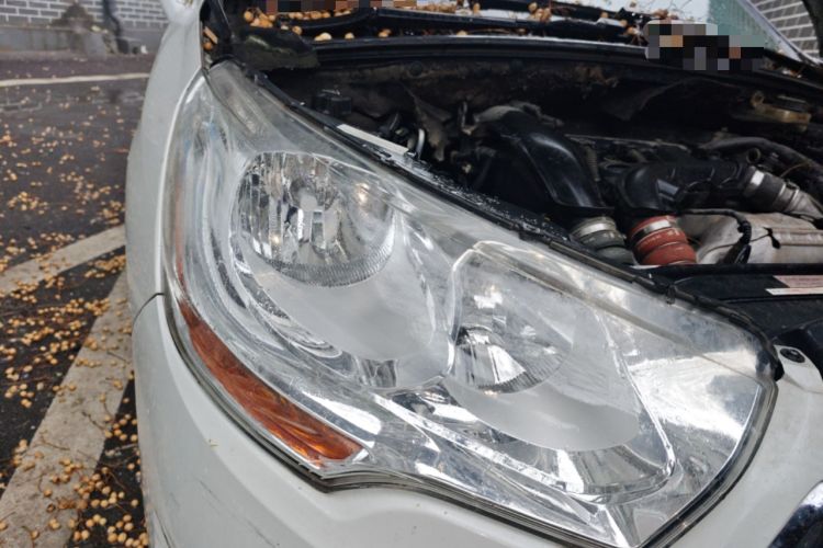 Used Citroen C4L 2013 1.6THP Automatic Dynamic Edition Right Front Headlight