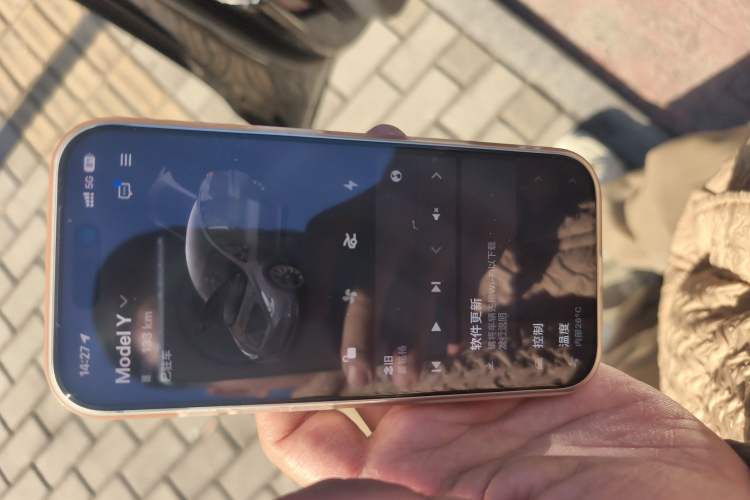 Used Tesla Model Y 2022 Revised Version Long-Range All-Wheel Drive
