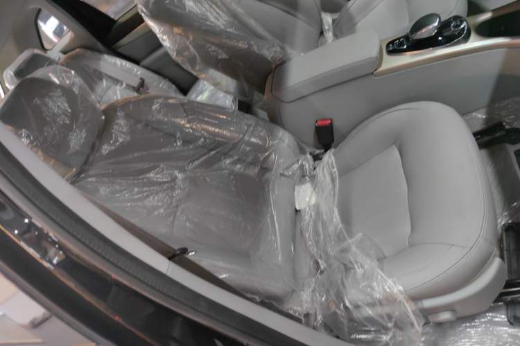 Used Denza 2018 450 Base Version
