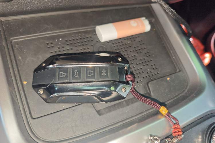 Used Tank 300 2024 2.0T Conqueror
