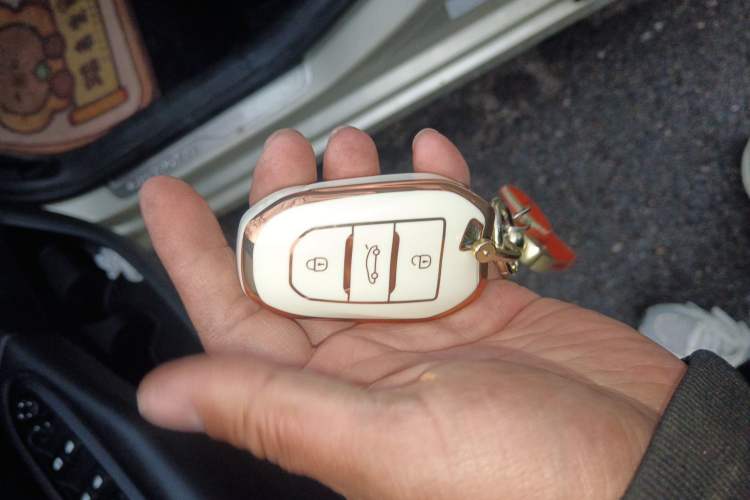 Used Citroen C4 Sega 2016 1.2THP Automatic Flagship Model Vehicle Key