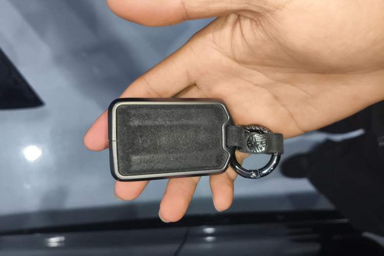 Used Tank 300 2024 2.0T Crosser
