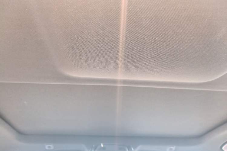 Used BMW 5 Series 2021 525Li M Sport Package Headliner