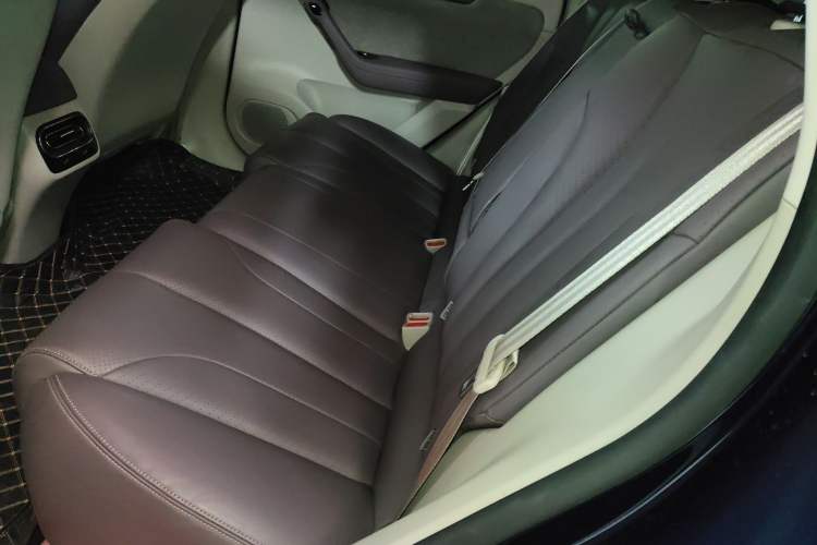 Used Leapmotor C11 2021 Zhixing Edition 510