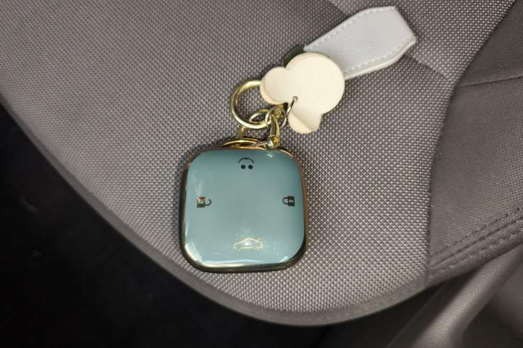 Used Qiyuan Lumin 2023 301km Honey Dew Edition
