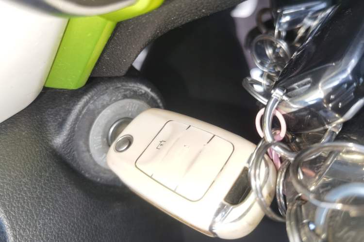 Used CHANGAN OSHAN Benni E-Star 2020 Xinyue Edition Lithium-NMC Interior 1