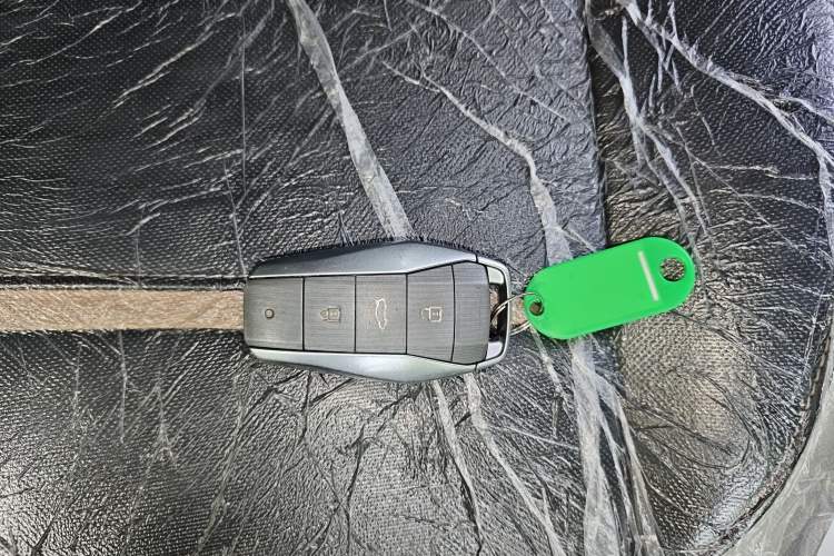 Used SOL E10X 2022 Flower Fairy Design Dandelion
