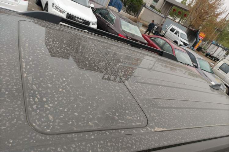 Used Tank 300 2025 2.0T Conqueror Roof