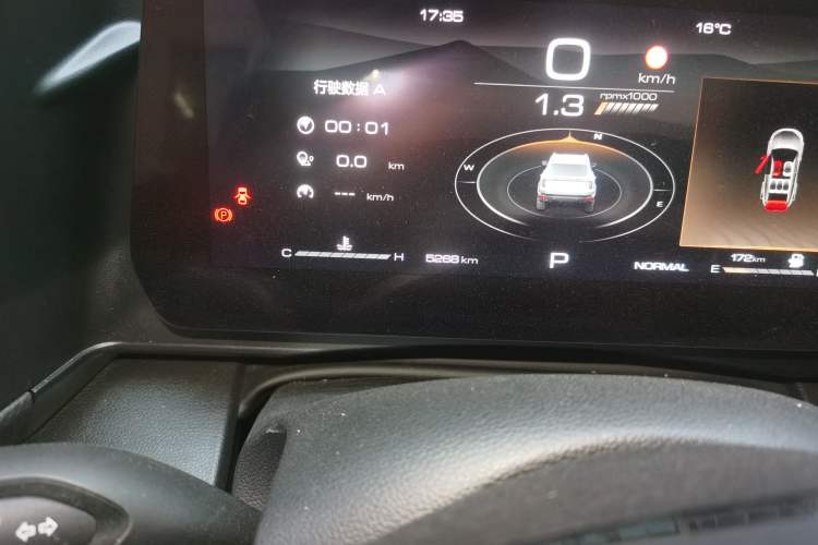 Used Haval DARGO 2024 2.0T DCT Chinese Rural Dog Edition
