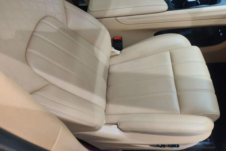 Used VOYAH Dream 2024 PHEV Extended-Range Premium Edition Right Front Seat