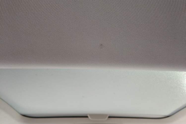 Used Volkswagen Golf Pure Electric 2020 Chariot Pro Headliner