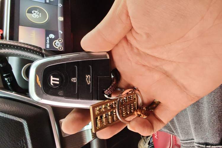 Used Yudo π3 2018 Elite Model