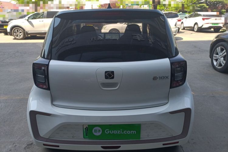 Used SOL E10X 2022 Flower Fairy Style Baby's Breath
