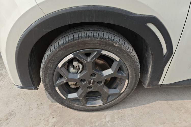 Used BYD Seagull 2025 305 km Free Version