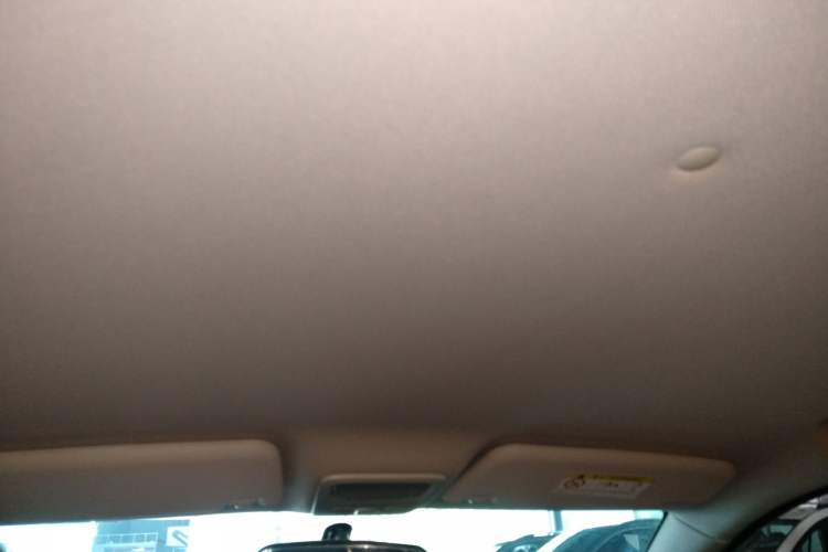 Used NETA N01 2020 430e Headliner