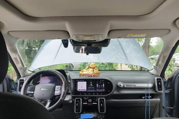 Used Haval DARGO 2021 1.5T DCT Two-Wheel Drive Border Collie Edition Headliner