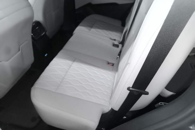 Used BYD Tang New Energy 2024 DM-i Glory Edition 112KM Flagship Model Left Rear Seat