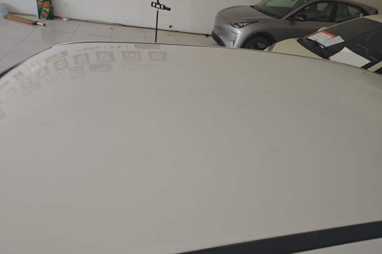 Used ORA White Cat 2020 360km Standard Version Roof