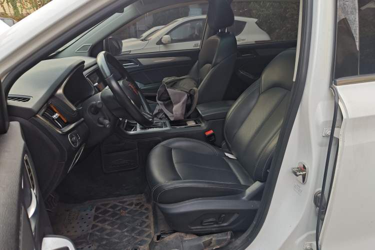 Used Roewe RX5 2017 20T Two-Wheel Drive Automatic Internet Elite Edition Left Front Seat