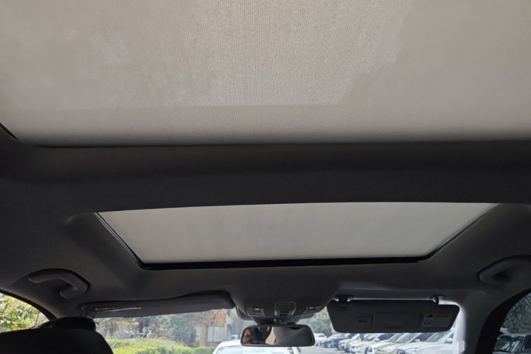 Used BAIC Off-Road BJ90 2021 4.0T Prestige Edition Headliner