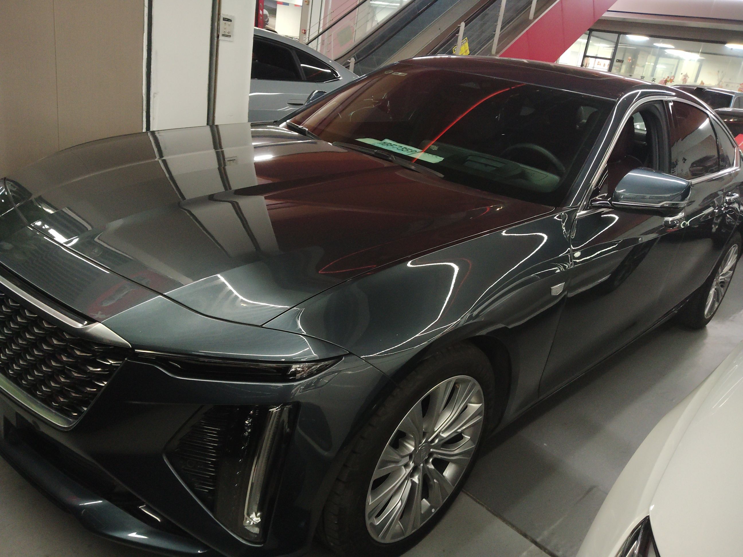 تحت مقدمة السيارة