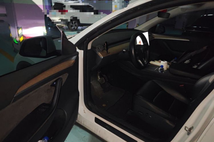 Used Tesla Model Y 2021 Standard Range Rear-Wheel Drive Version
