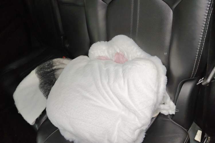 Used Cadillac SRX 2012 3.0L Leading Model
