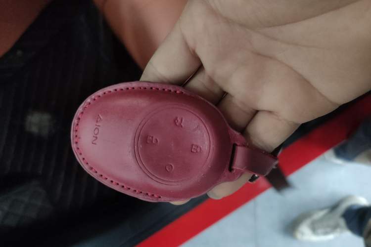 Used AION V 2024 Aion Tyrannosaurus 650 LiDAR Edition
