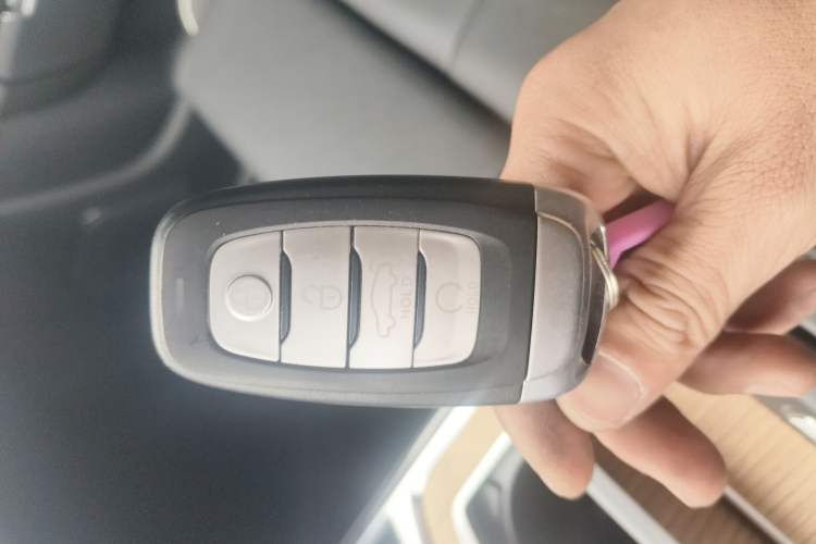 Used Hongqi E-HS9 2021 460 km Range Flagship Edition Six-Seater