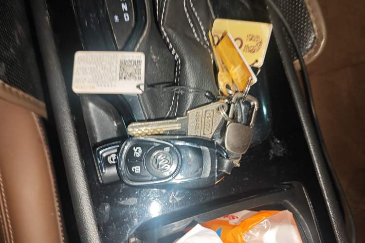 Used Buick Regal 2017 20T Elite Edition