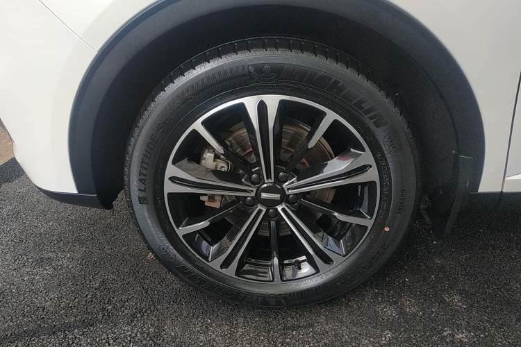 Used Wey VV6 2021 2.0T Two-Wheel Drive Smart Protection+