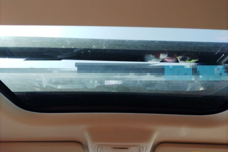 Used Haval Raptor New Energy 2024 Hi4 102 Pro Headliner