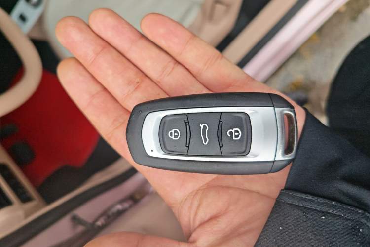 Used Geely Galaxy Panda 2024 Panda Mini 200km Endurance Bear
