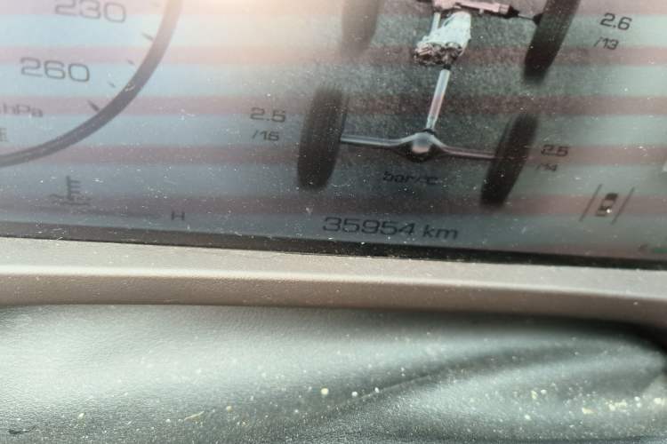 Used Tank 500 New Energy 2023 Hi4-T Odometer Close Up