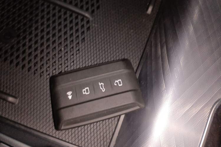 Used Tank 700 New Energy 2024 Hi4-T Extreme Edition Vehicle Key