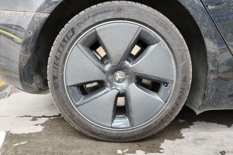 Used Tesla Model 3 2021 Standard Range Rear-Wheel Drive Upgraded Version 3D6
