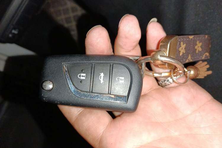 Used Toyota Levin 2019 185T CVT Entry-Level Version China VI Standard