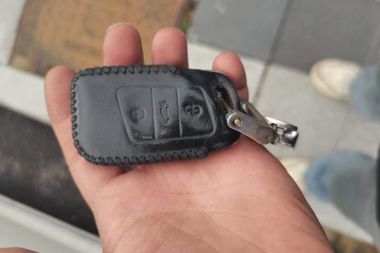 Used Volkswagen Passat New Energy 2020 430 PHEV Hybrid Luxury Edition China VI Standard