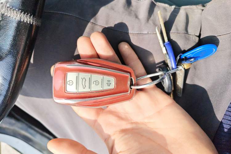 Used Geometry E Firefly 2024 301km Longteng Edition
