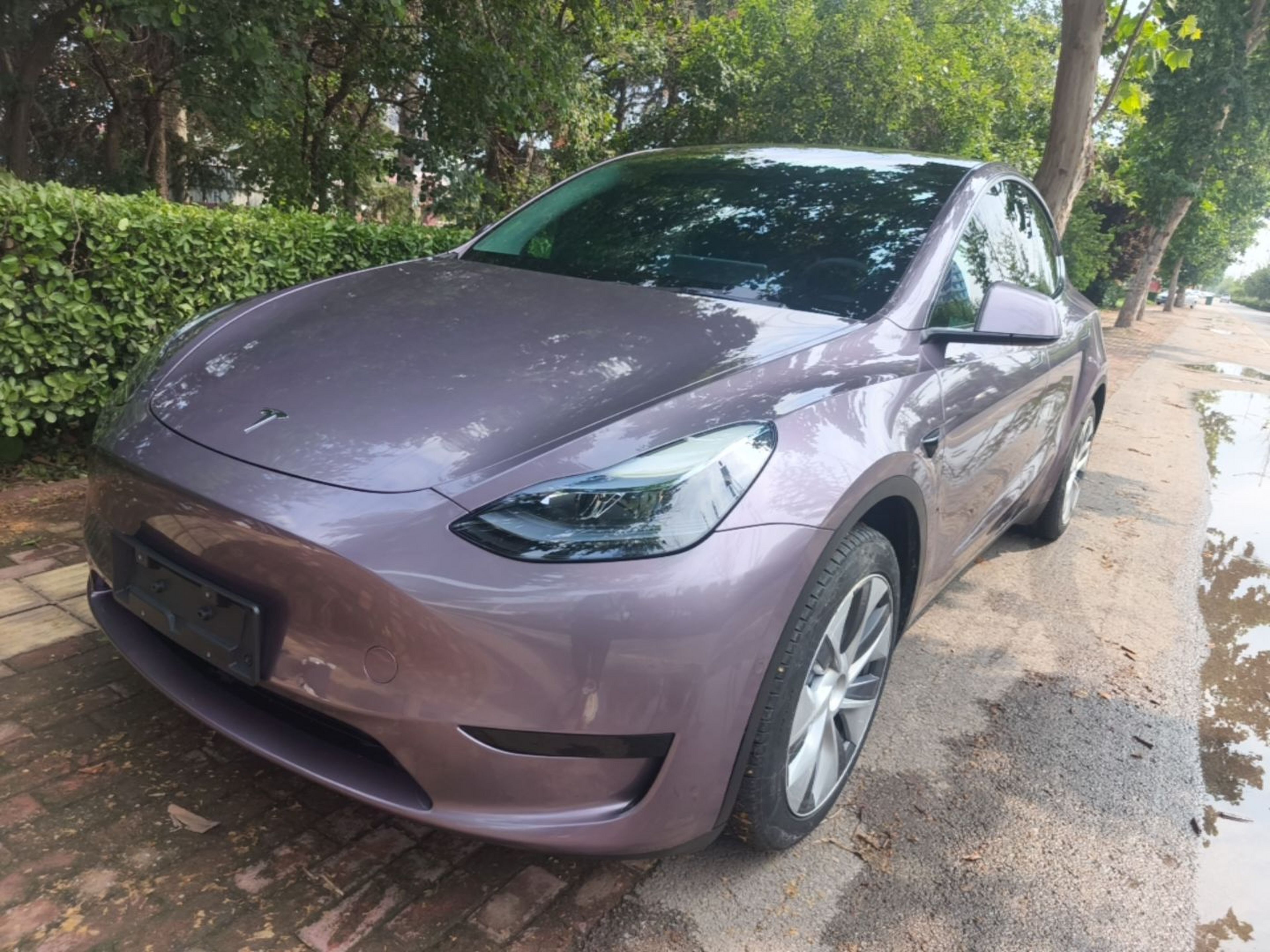 Under Front Bumper