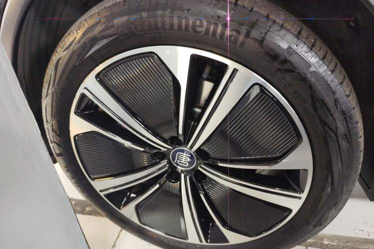 Used BYD Tang New Energy 2022 DM-p 215KM Four-Wheel Drive Flagship Model